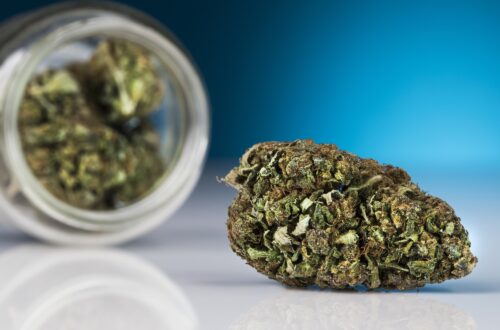 Safe Storage Methods Helping Preserve the Freshness Of THCA Flower Longer